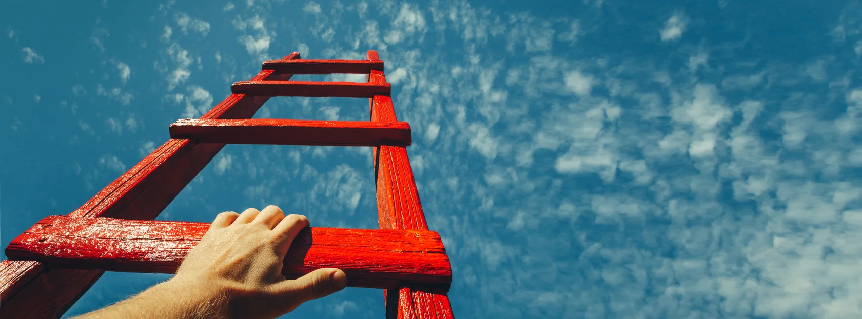 ladder growth smaller.jpg