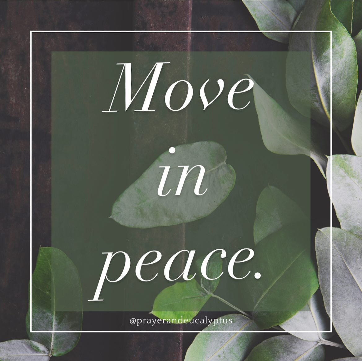 Peace is nice, protect yours. #peace #sweetsleep

&bull;
&bull;

#bencouraged #keepmovin #prayerandeucalyptus #wesassy #inspirationalspeaker #author #strongfaith #selfcare #womenempowerment #overcomer #thrivingnotjustsurviving #prayerinmydna #prayerw