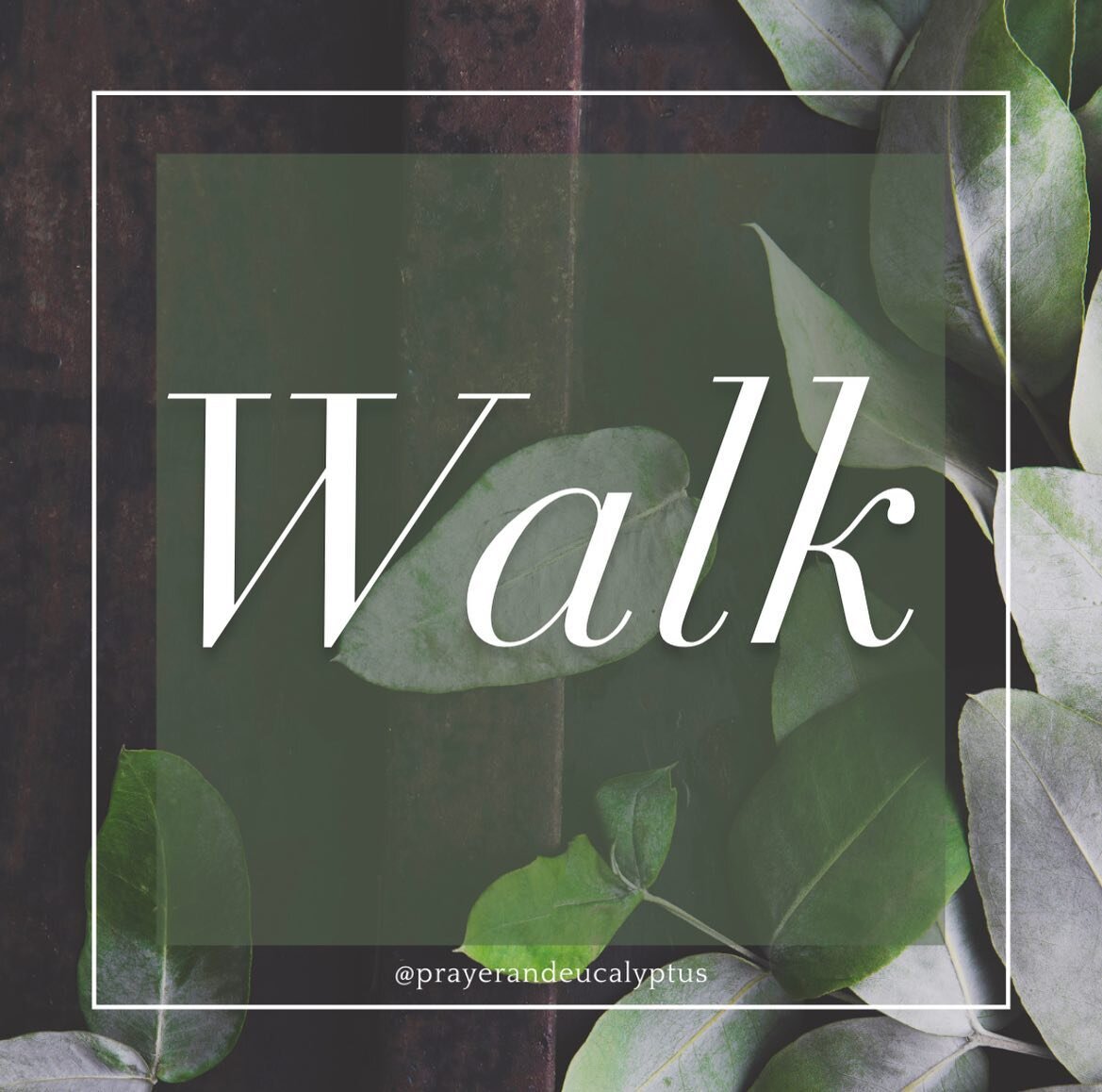 My Tuesday Note To You&hellip; 

Walk according to &ldquo;your&rdquo; God given purpose.

Walk in Godly confidence &amp; peace.

Walk in integrity &amp; humility.

Walk in grace &amp; forgivenesses, for yourself &amp; others.

Walk for physical fitne