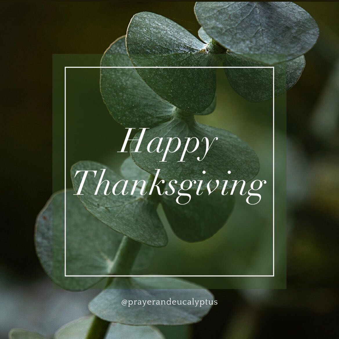 So very thankful for each &amp; every one of you. Thankful for your support of Prayer &amp; Eucalyptus &amp; my mission to encourage with my story. Have an amazing day of love enjoying family &amp; friends!!💚 #HappyThanksgiving

&bull;
&bull;

#benc