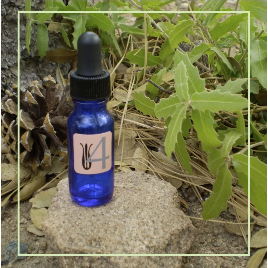 4. Mirror Mirror Rejuvenating Oil Grapeseed Oil, Rosehip Seed Oil, Evening Primrose Oil