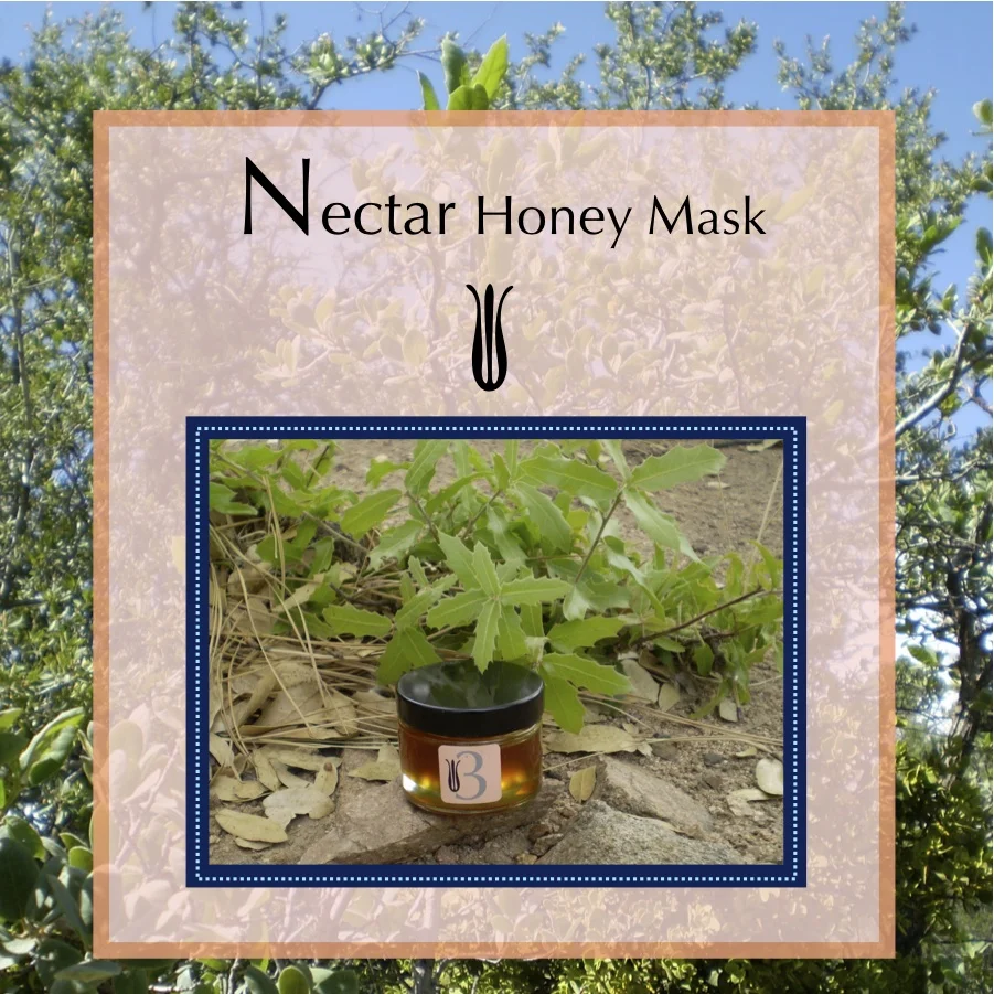 3. Nectar Honey Mask Prescott Wildflower Honey