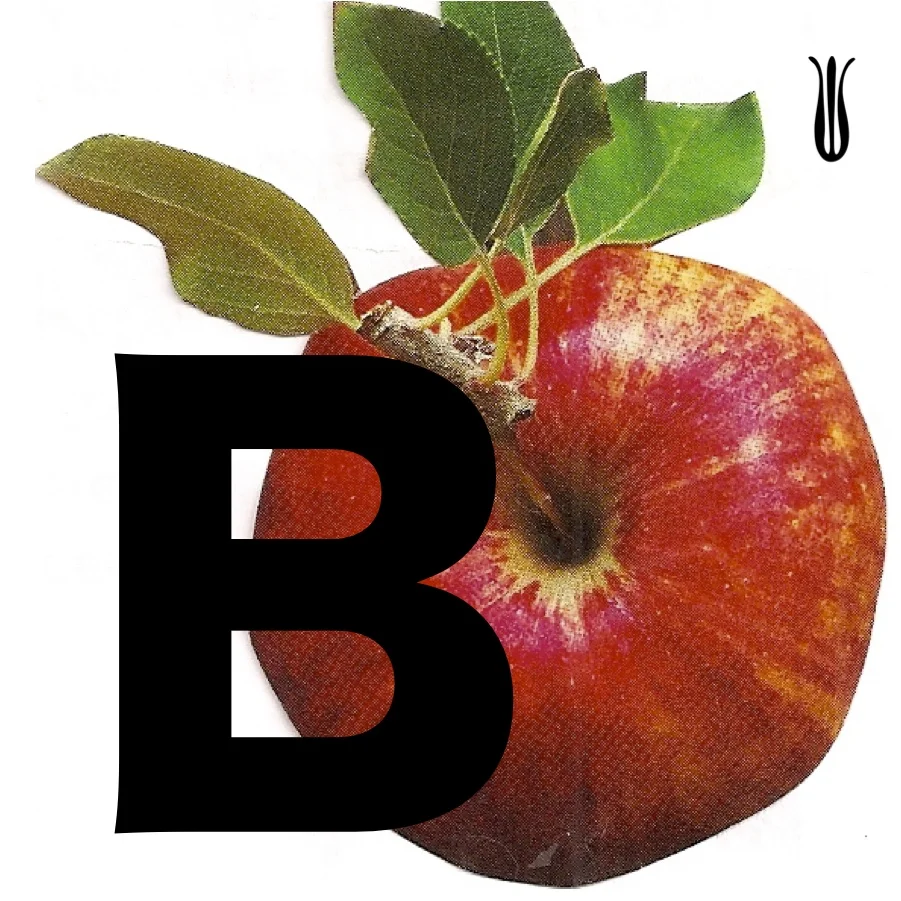 monoappleB.jpg