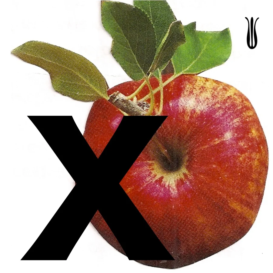 monoappleX.jpg