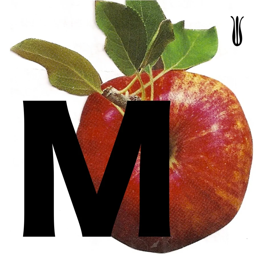 monoappleM.jpg