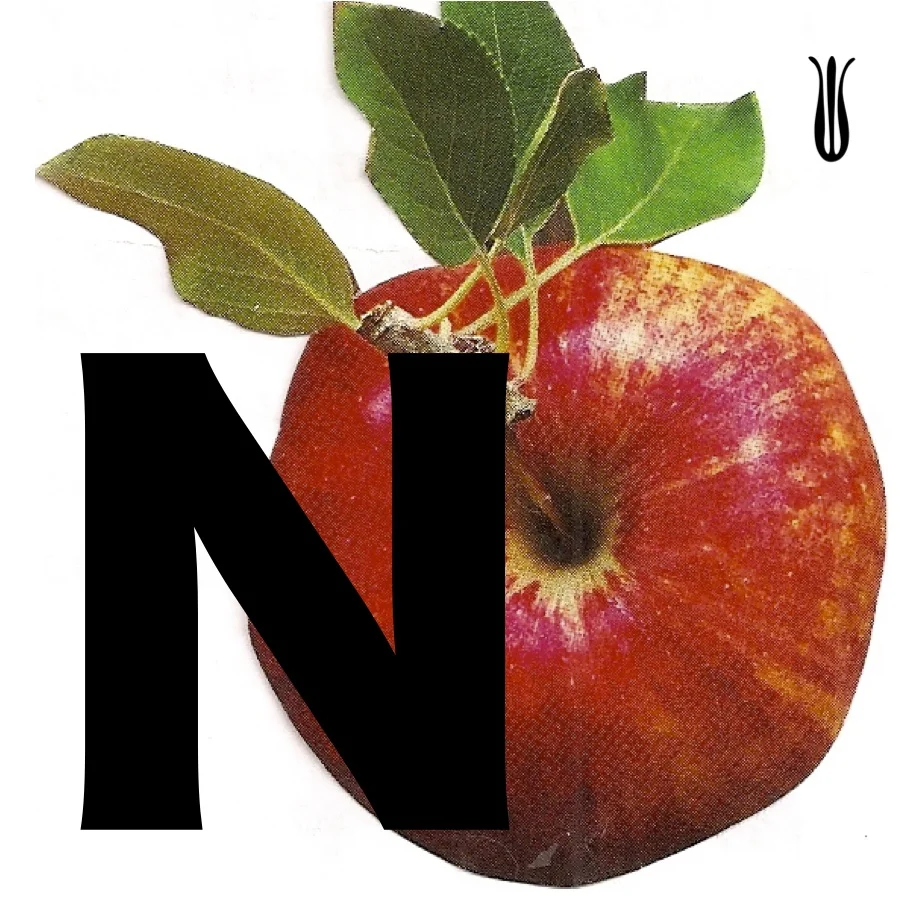 monoappleN.jpg