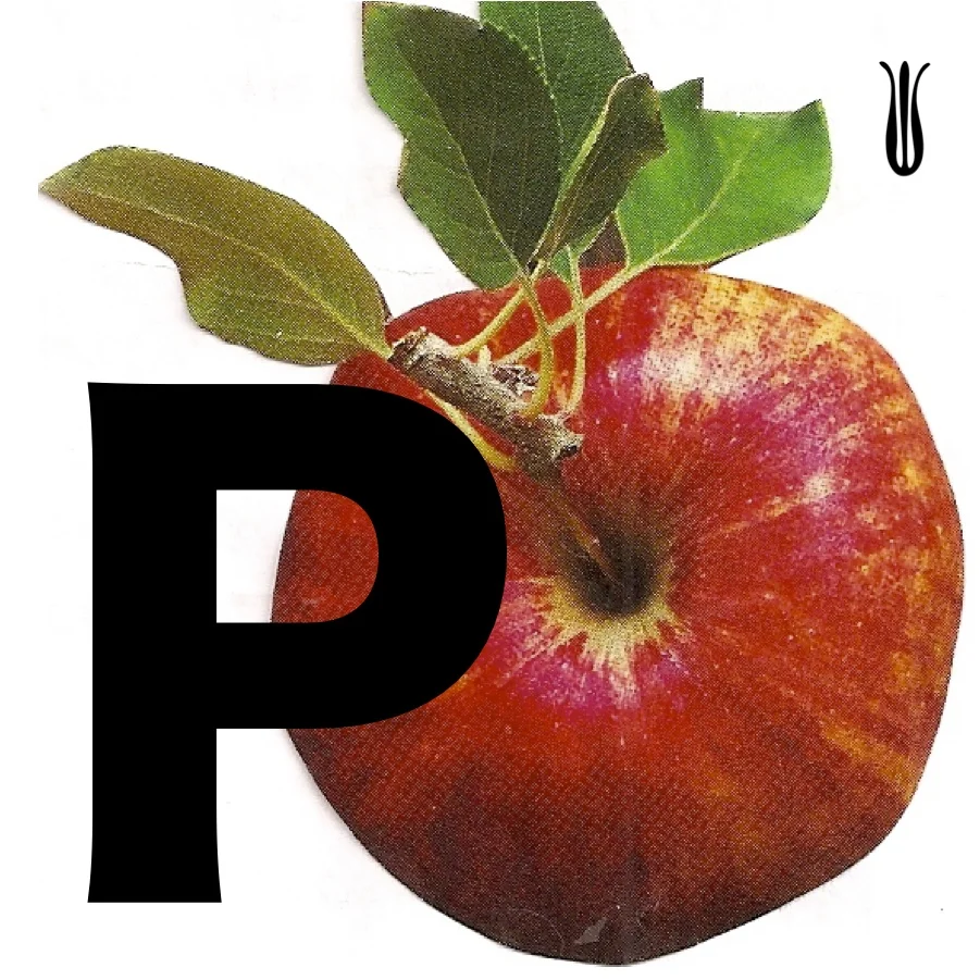monoappleP.jpg