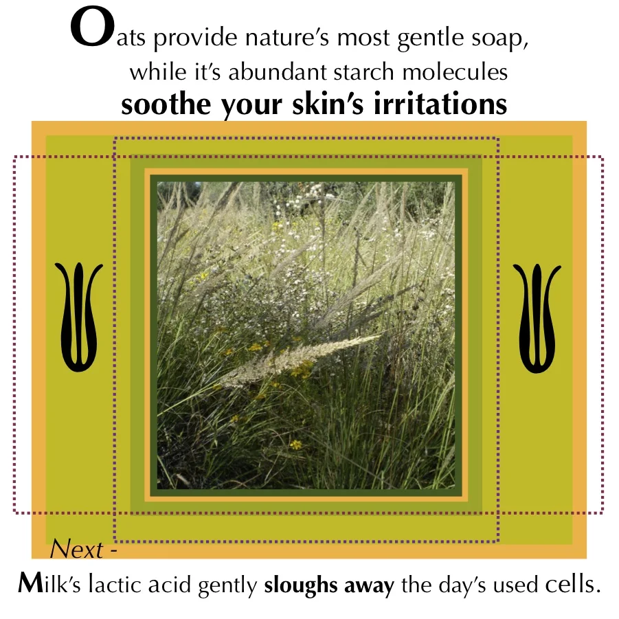 Oats4.jpg