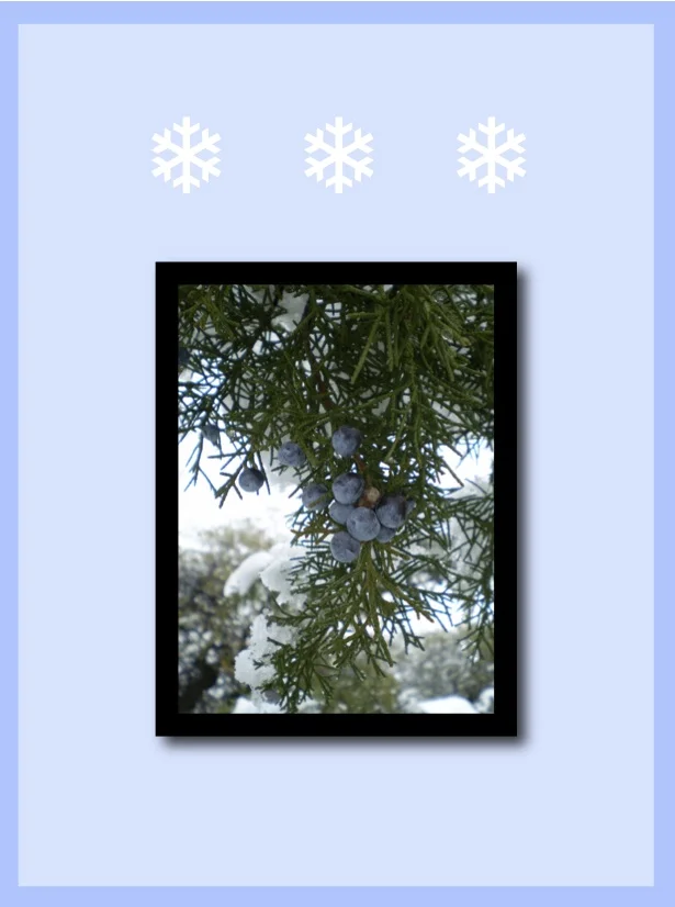 winter-skin-moisturizing.jpg