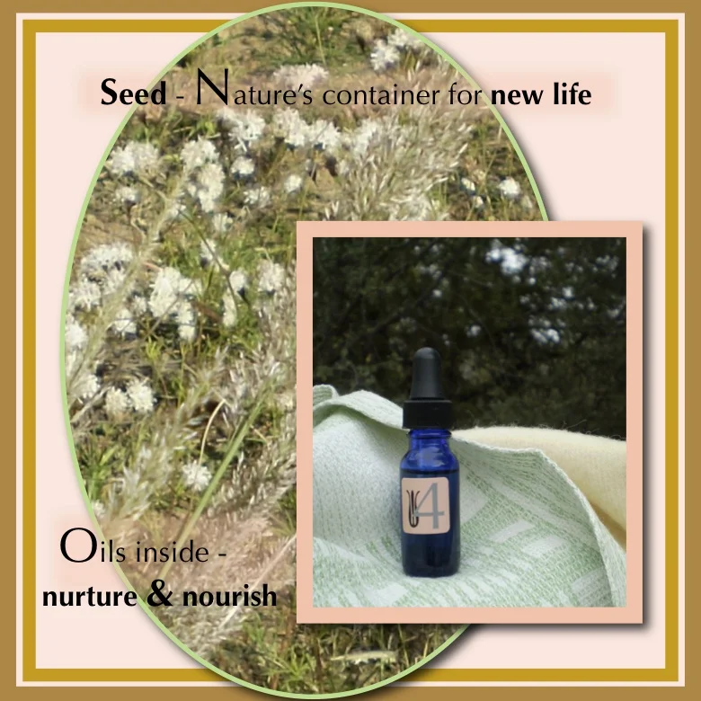 A seed is the nurturer of new life. Its oils, which nourish new life in a plant, also nourish and rejuvenate new cells in your skin. #AsNatureIntends