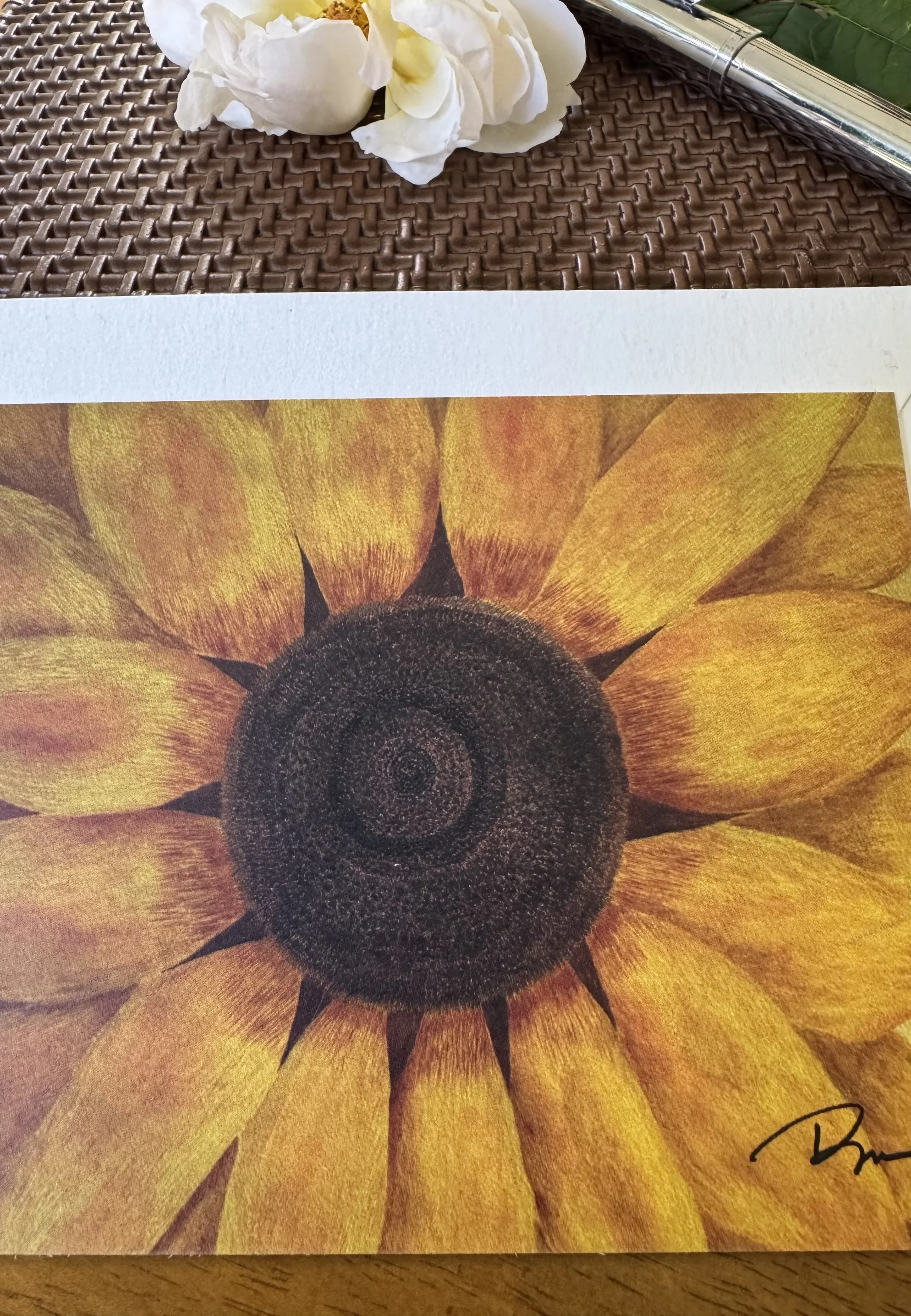 IMG_8740.jpeg