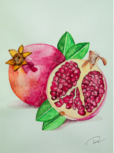 Pomegranate Watercolor Note Cards