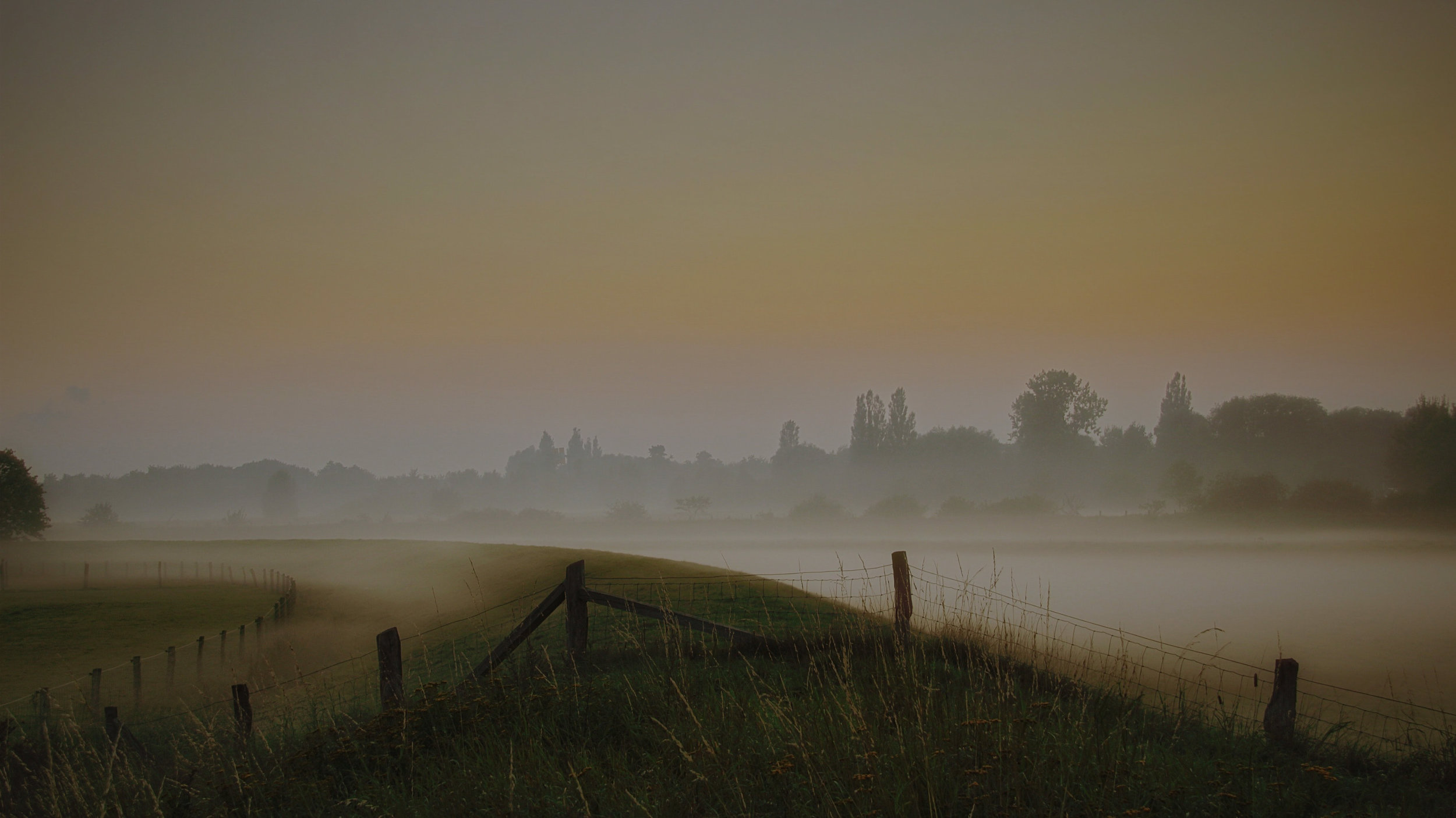 Countryside with dew Faded.jpg