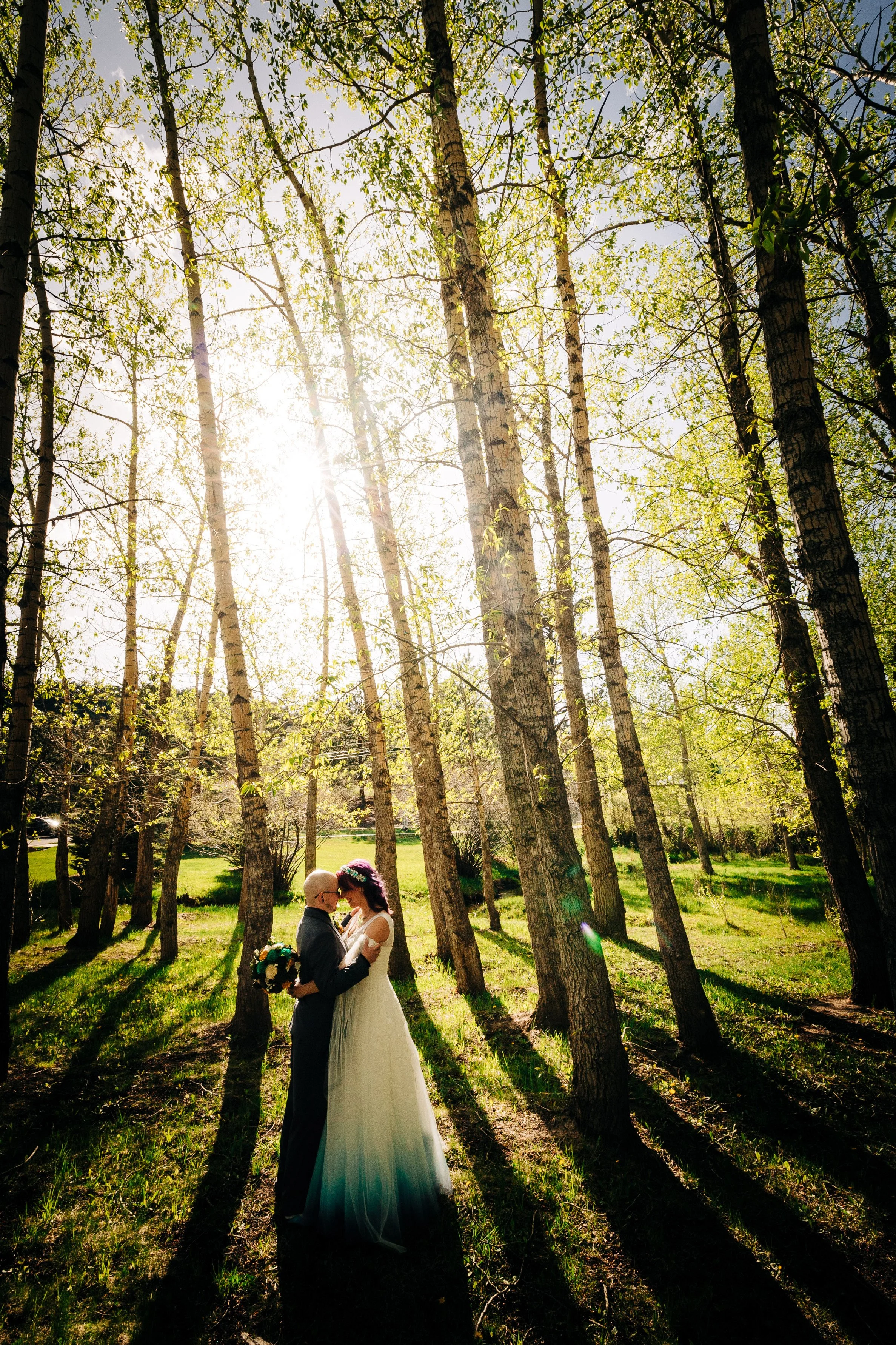 Bride and groom kiss surrounded by Aspen trees after a wedding at Black Canyon Inn in Estes Park, Colorado