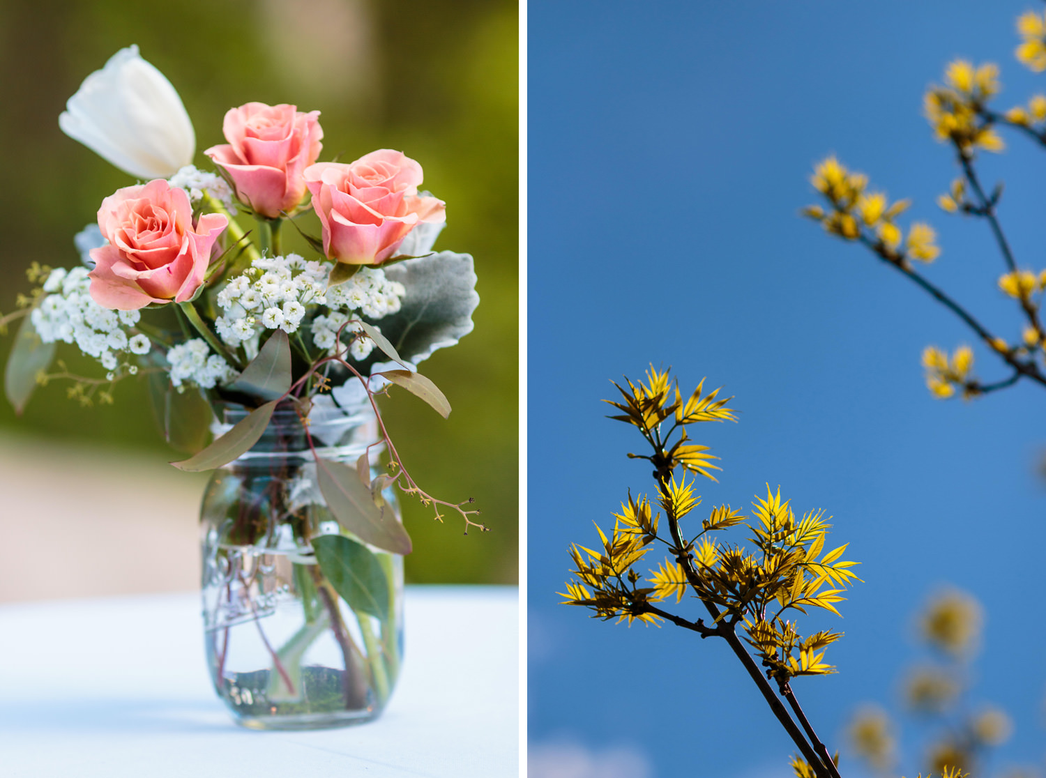 donovan-pavilion-wedding-photographer-tomKphoto-025.jpg