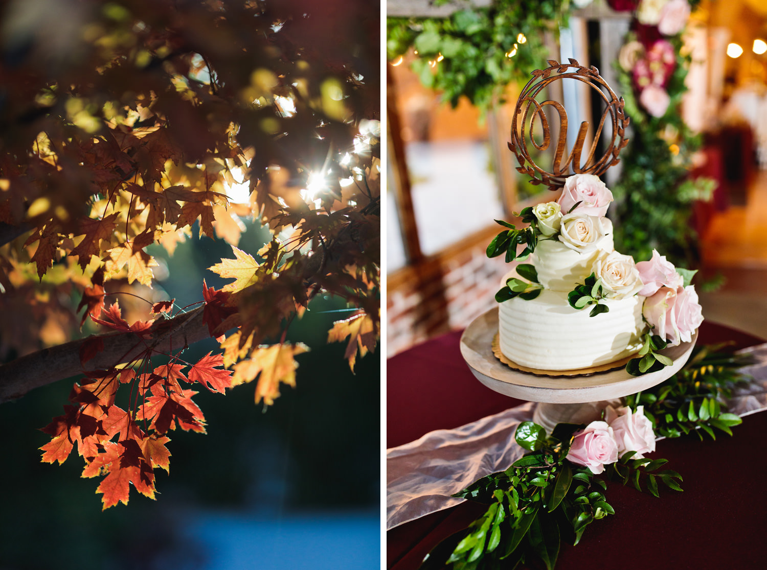 brookside-gardens-colorado-wedding-tomKphoto-103.jpg