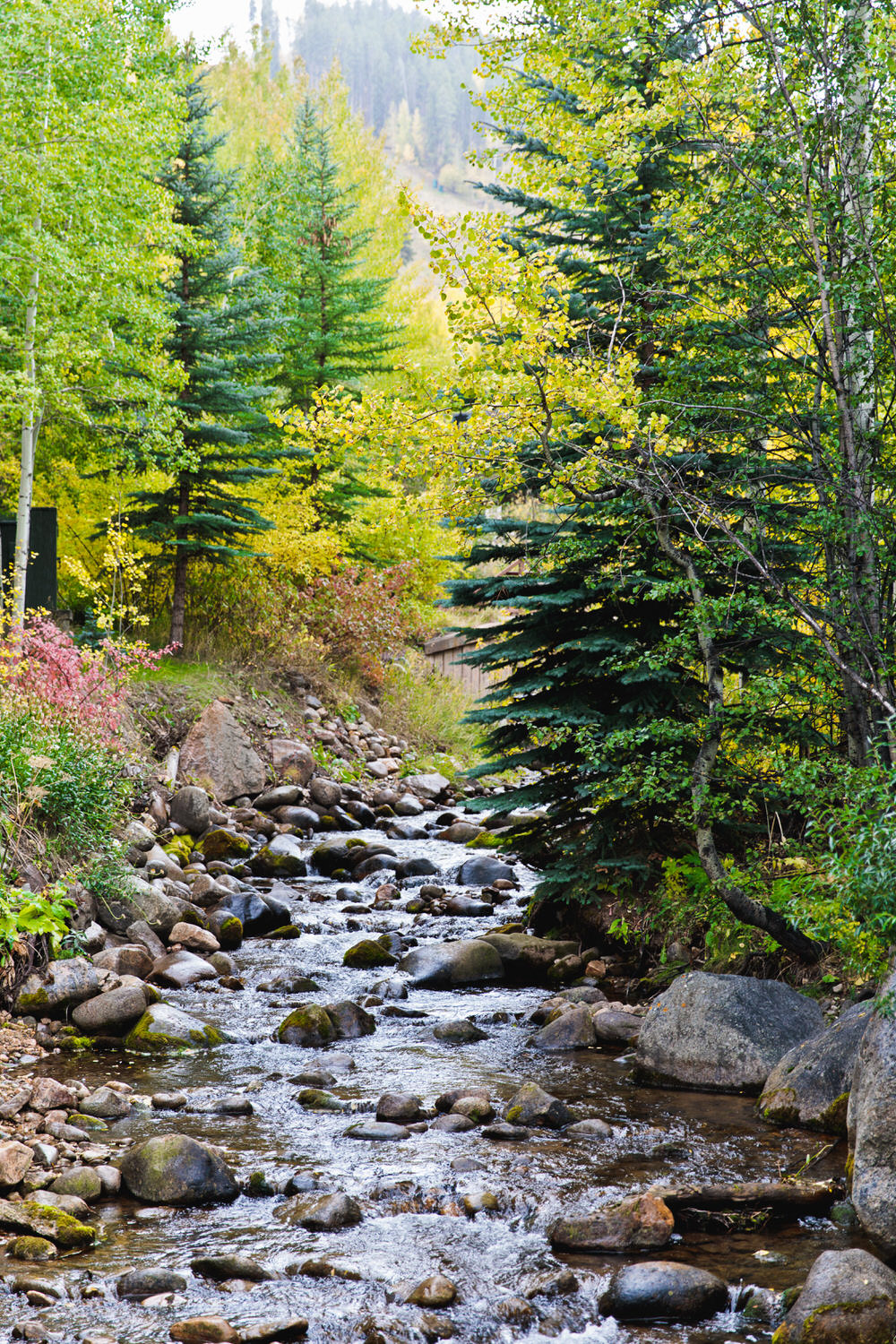 beaver-creek-wedding-photographer-tomKphoto-076.jpg