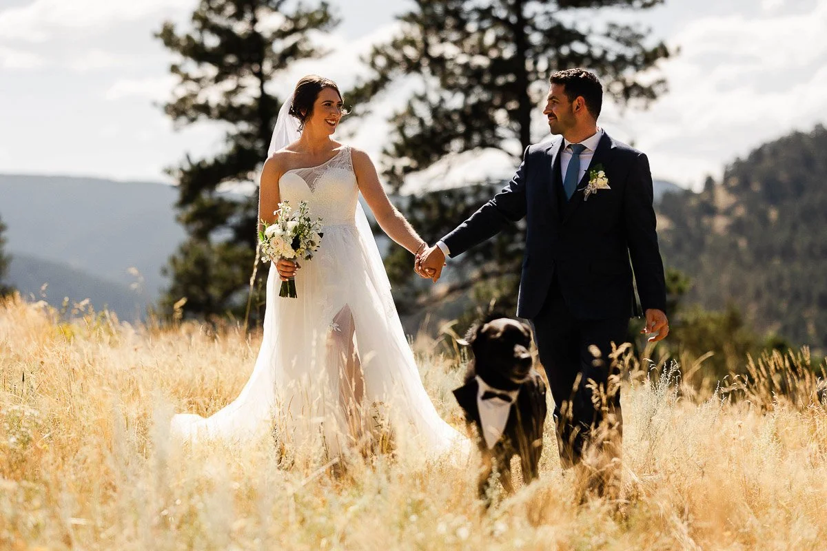 A bride in a flowing white dress and a groom in a suit hold hands, smiling, while walking a dog in a bow tie through a sunlit field at Horsetooth Reservoir with mountains behind captured by Fort Collins wedding photographer tomKphoto