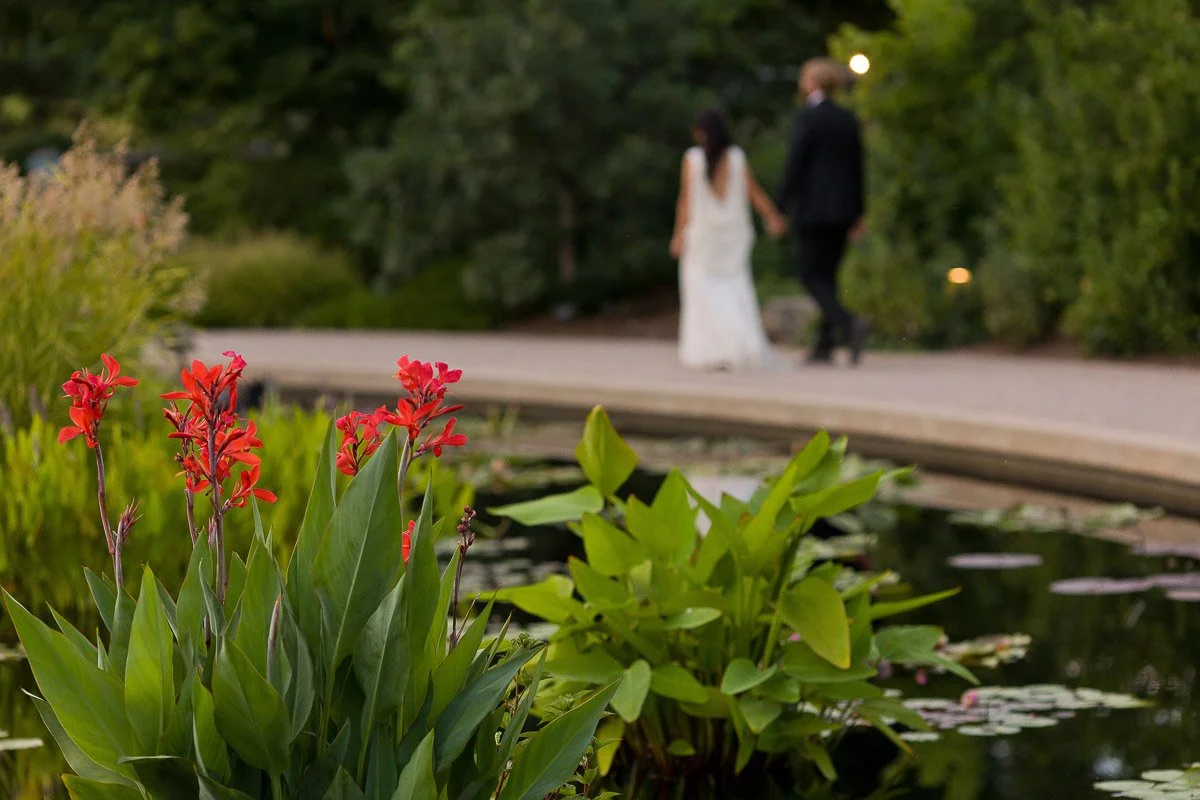 A couple in wedding attire strolls hand in hand down a garden path, out of focus. In the foreground, vibrant red flowers bloom by a pond, creating a serene and romantic ambiance.