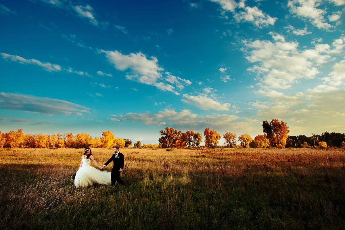 A couple in wedding attire holds hands in a vast, sunlit meadow along Strauss Cabin Road, surrounded by trees with vibrant autumn leaves. The blue sky is dotted with clouds captured by Fort Collins wedding photographer tomKphoto