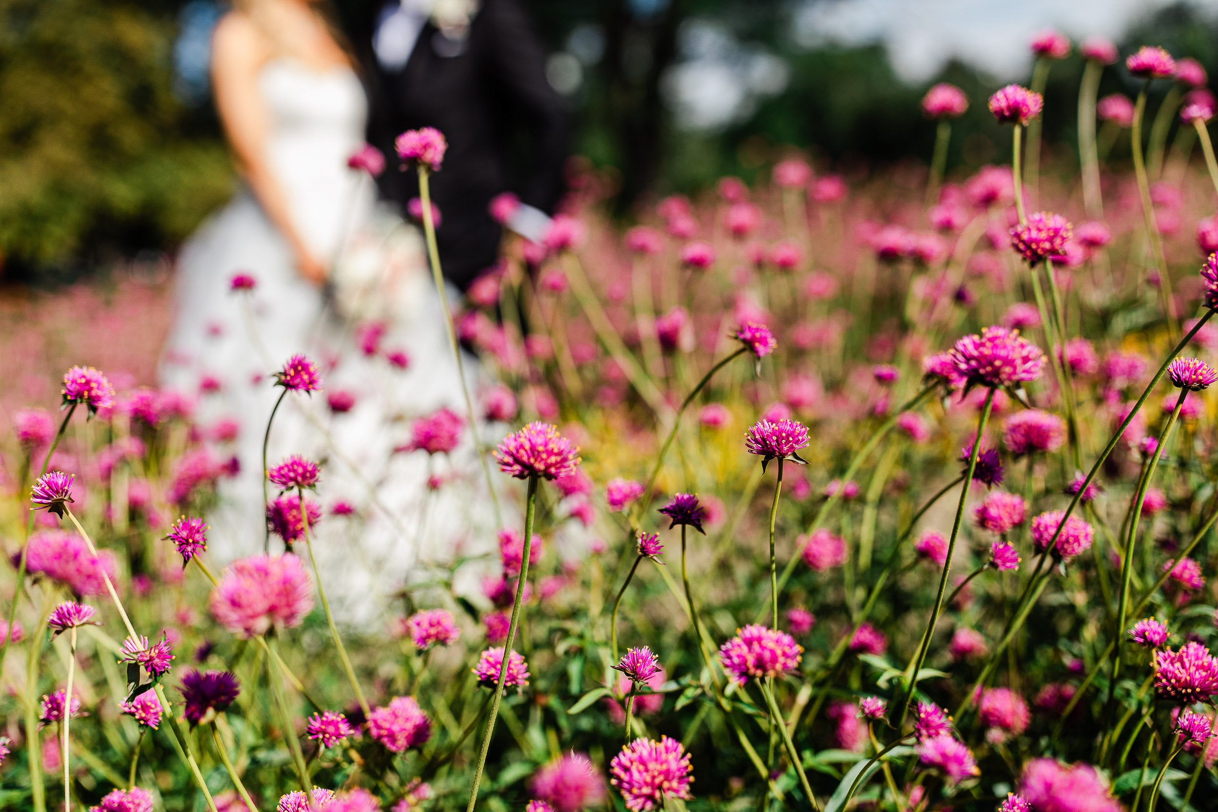 Bride and groom kiss behind a field of Summer wildflowers during a Washington Park Boathouse wedding in Denver, Colorado