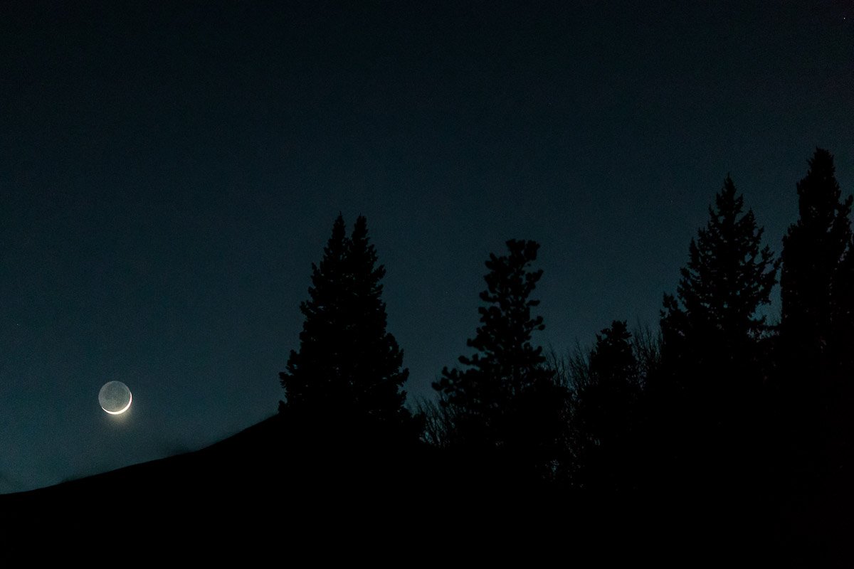 A thin crescent moon glows amid a dark, starless night sky. Silhouetted pine trees stand beneath, evoking a serene and tranquil atmosphere.