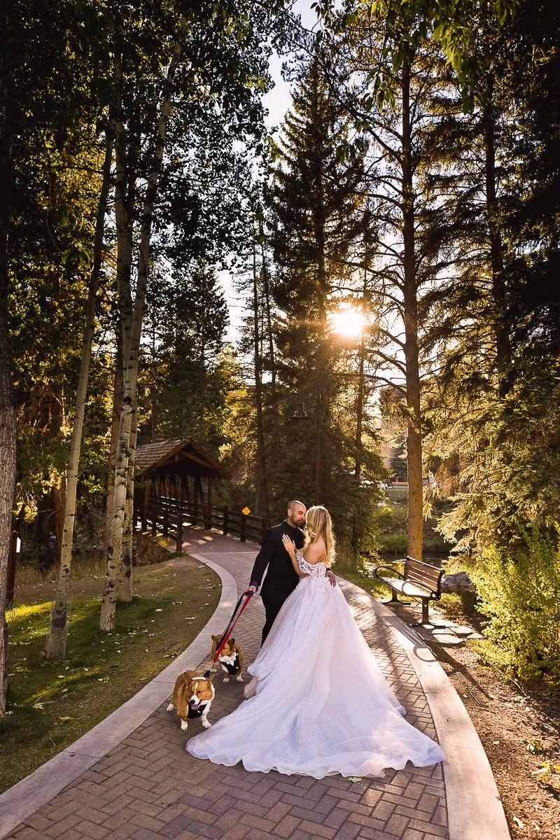 A bride and groom, with two dogs, stand on a sunlit forest path beside a wooden bridge. The bride's dress flows elegantly, creating a romantic scene.