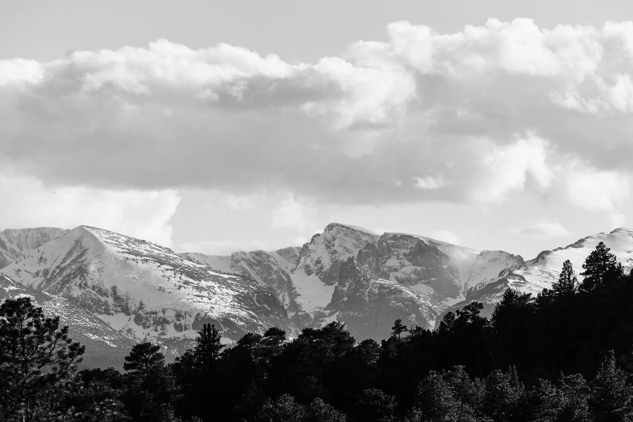 A majestic snow capped mountain landscape view rendered in black & white during a Black Canyon Inn wedding in Estes Park, Colorado