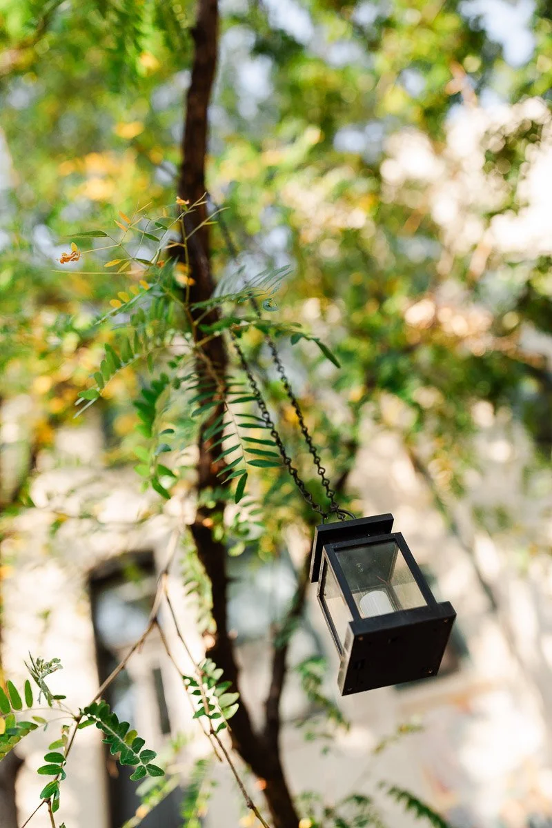 Close-up of a black lantern hanging from a tree branch with green leaves. Soft sunlight filters through, creating a serene and natural atmosphere.