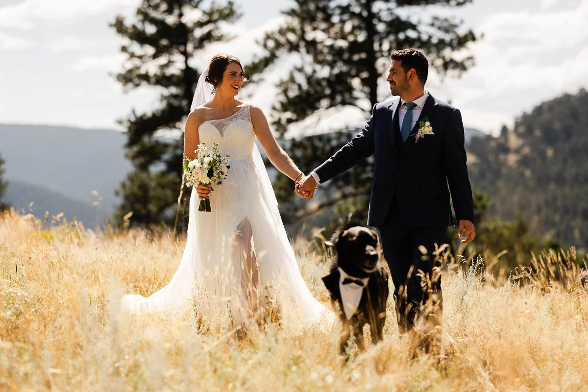 A bride in a white dress and groom in a dark suit walk hand in hand through a sunny field, followed by a dog in a tuxedo. The scene is joyful and natural.