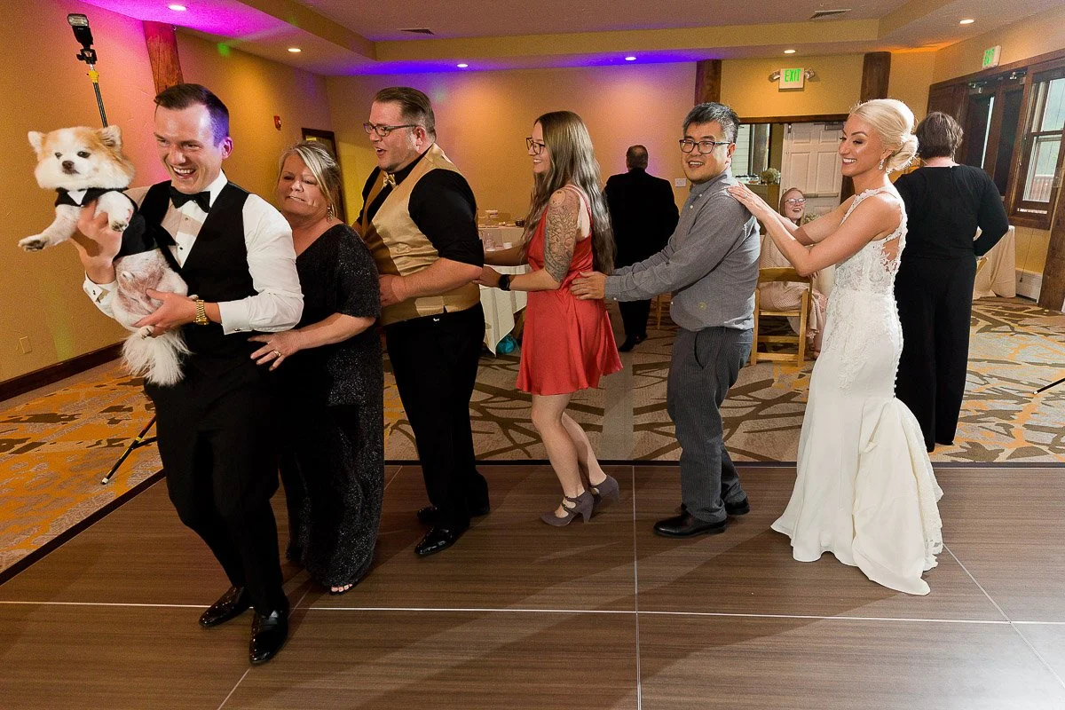 A joyful wedding reception scene with a conga line of smiling people, including a bride in a white dress, a man in a tuxedo holding a small dog. The atmosphere is festive and lively.