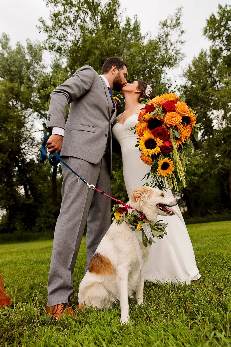 Wedding couple kissing outdoors, holding a large bouquet of sunflowers and roses. A dog with a floral collar sits calmly at their feet. Lush green trees surround them, creating a serene and joyful atmosphere.