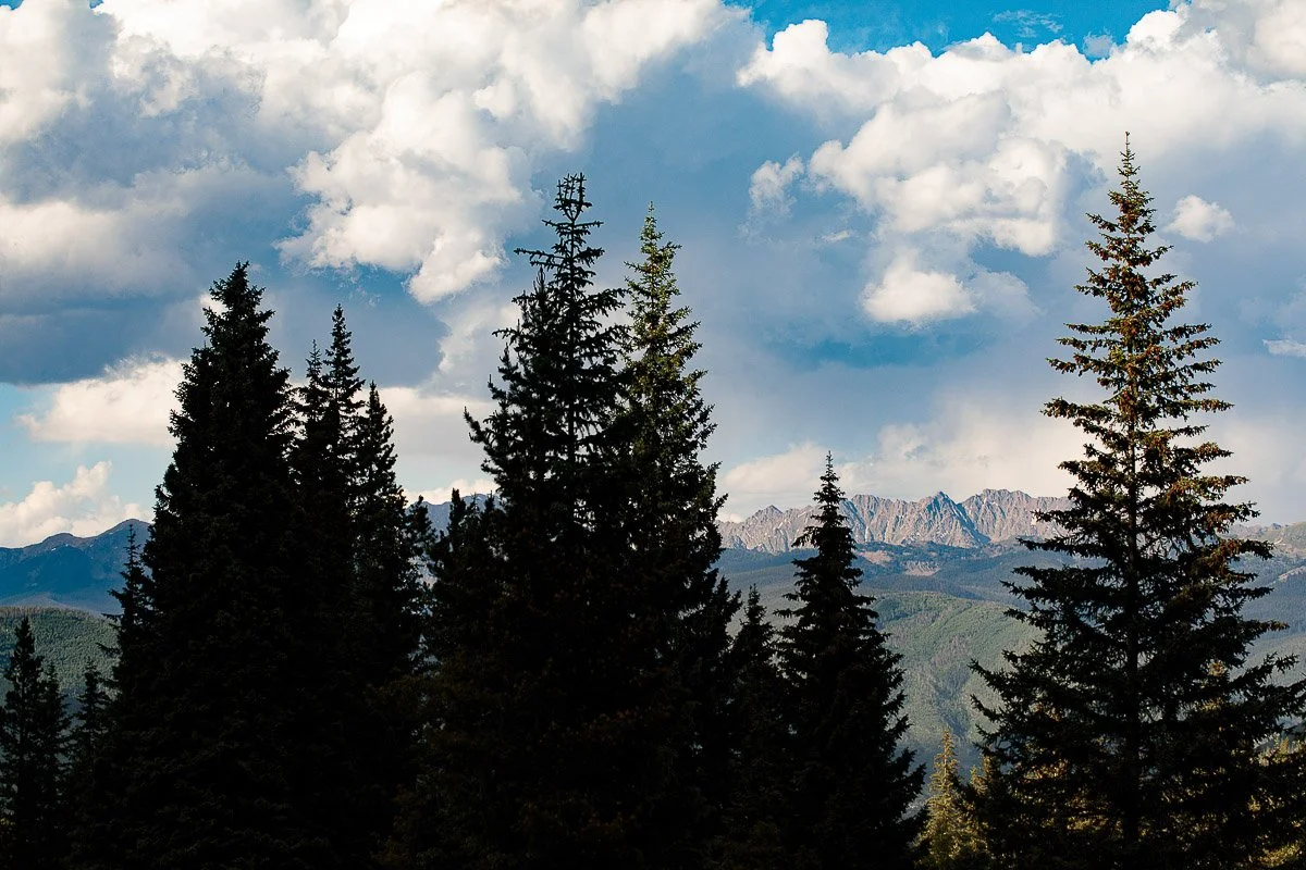 Tall evergreen trees stand silhouetted against a backdrop of dramatic clouds and distant mountain peaks, conveying a serene, majestic landscape.