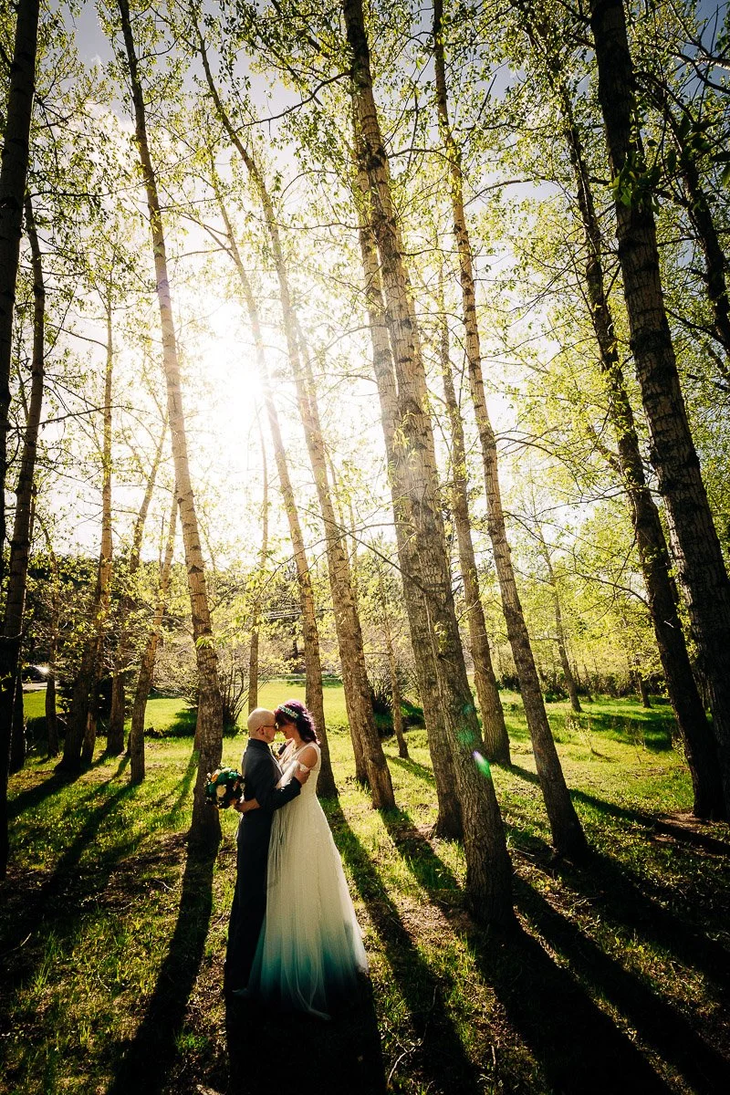 A couple kisses in a sunlit forest during a Black Canyon Inn wedding with tall, slender trees casting long shadows. The bride's dress flows elegantly, evoking a serene and romantic mood.