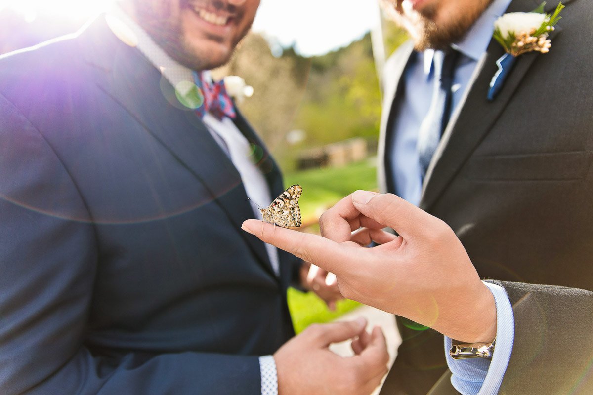 Two men in suits smile warmly as a butterfly rests gently on one man's finger. Sunlight creates a warm, inviting atmosphere in a garden setting.