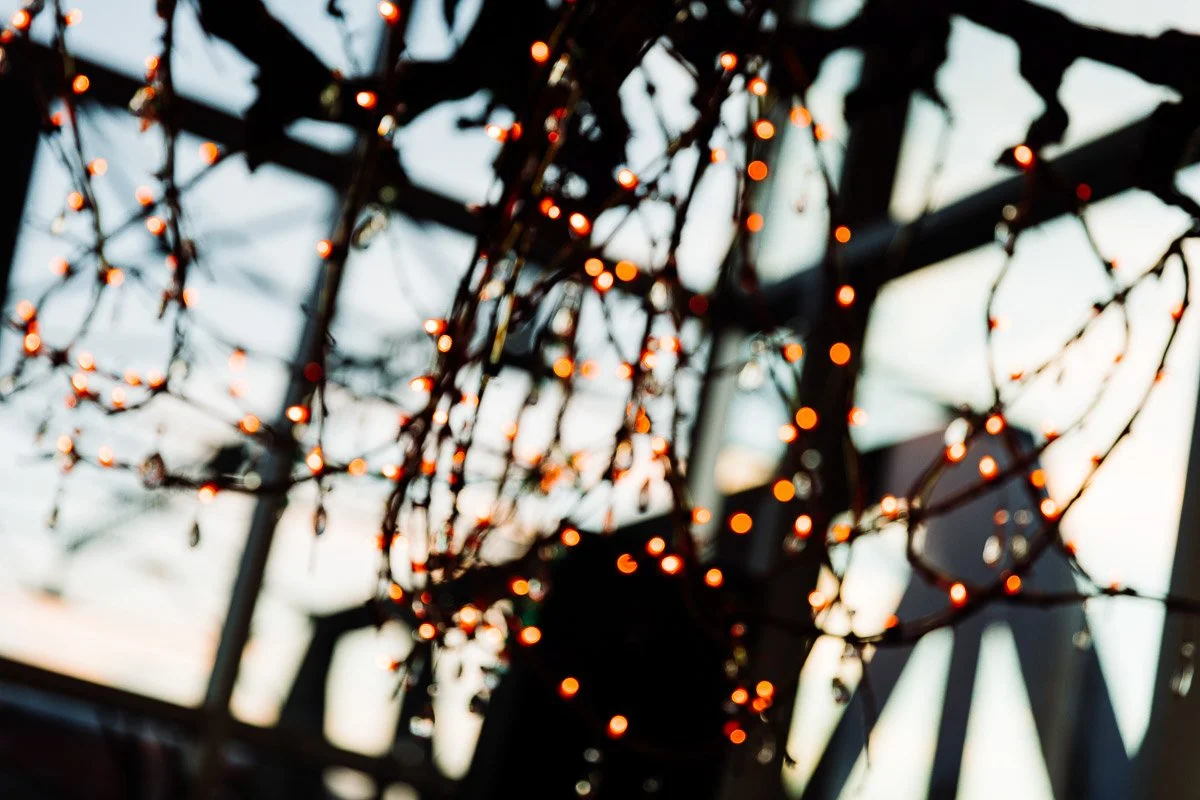 String lights hang in soft focus, casting a warm glow against a blurred background of a sunlit window, creating a cozy, festive ambiance.