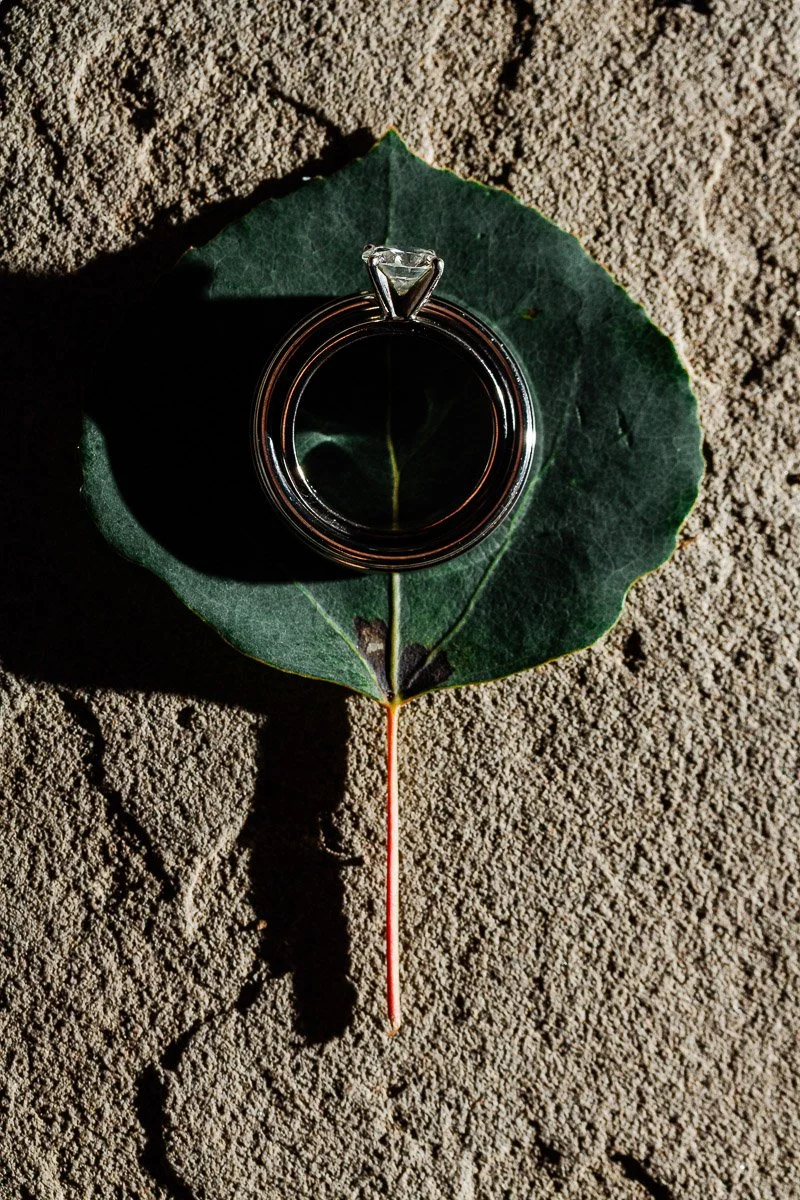A silver engagement ring with a prominent diamond rests on a green leaf on textured stone. The lighting creates a dramatic shadow, highlighting elegance.