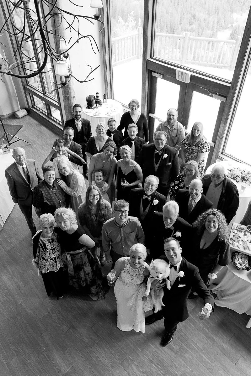 A black-and-white aerial view shows a joyful wedding group posing indoors near large windows. The couple in front smiles with a dog, evoking warmth and celebration.