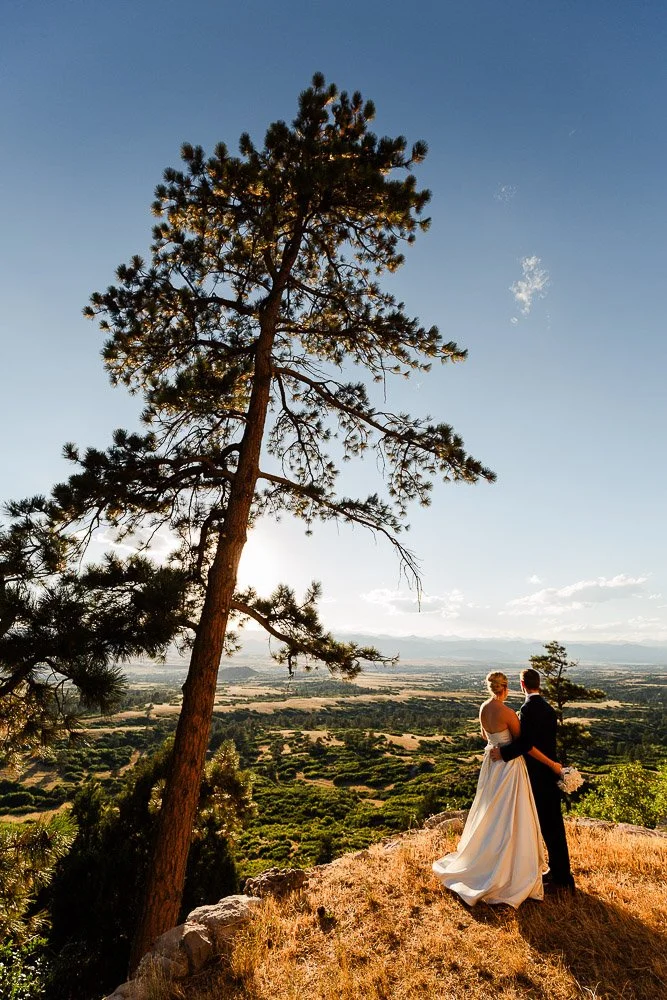 A bride and groom stand on a sunlit hilltop under a tall pine tree, overlooking a vast, green landscape with a clear blue sky in the background.