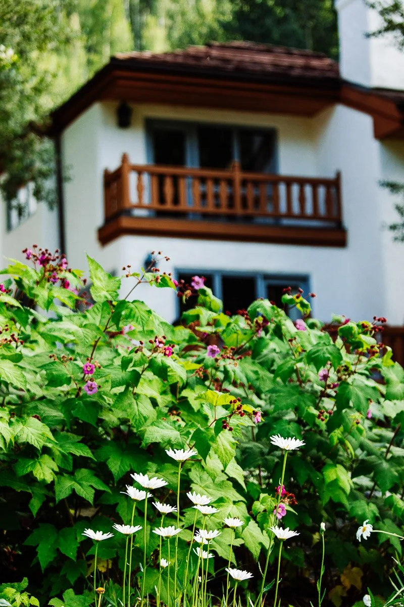 A cozy house with a wooden balcony is surrounded by lush greenery. In the foreground, white and pink flowers bloom, creating a serene and inviting atmosphere.