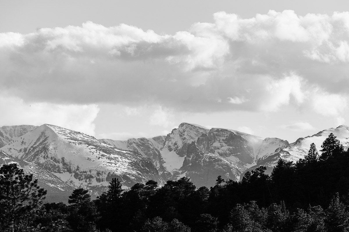 Black and white photo of a snowy mountain range under a cloudy sky, with a forest in the foreground. The scene is calm and majestic.