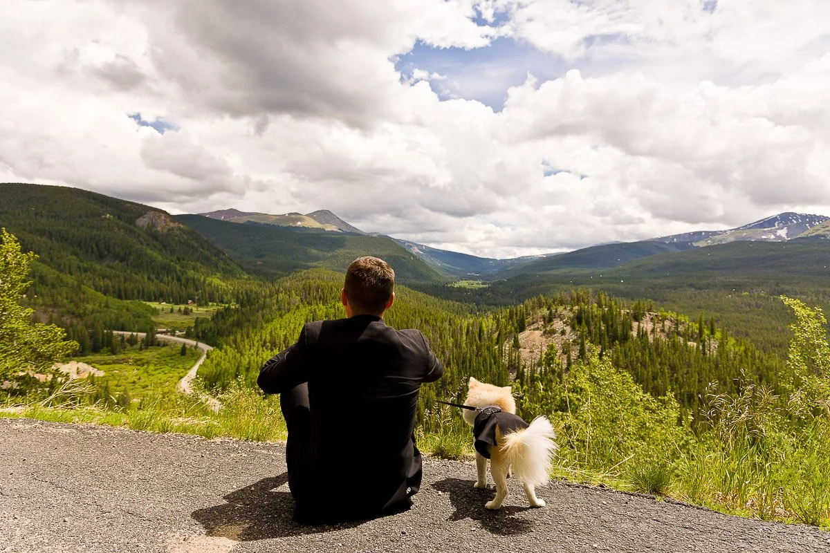 A man in a suit sits on a path, beside a small dog in a jacket, overlooking a vast, green mountain landscape under a cloudy sky. Tranquil and contemplative.