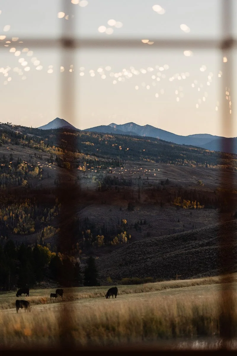 strawberry-creek-ranch-wedding-165.jpg