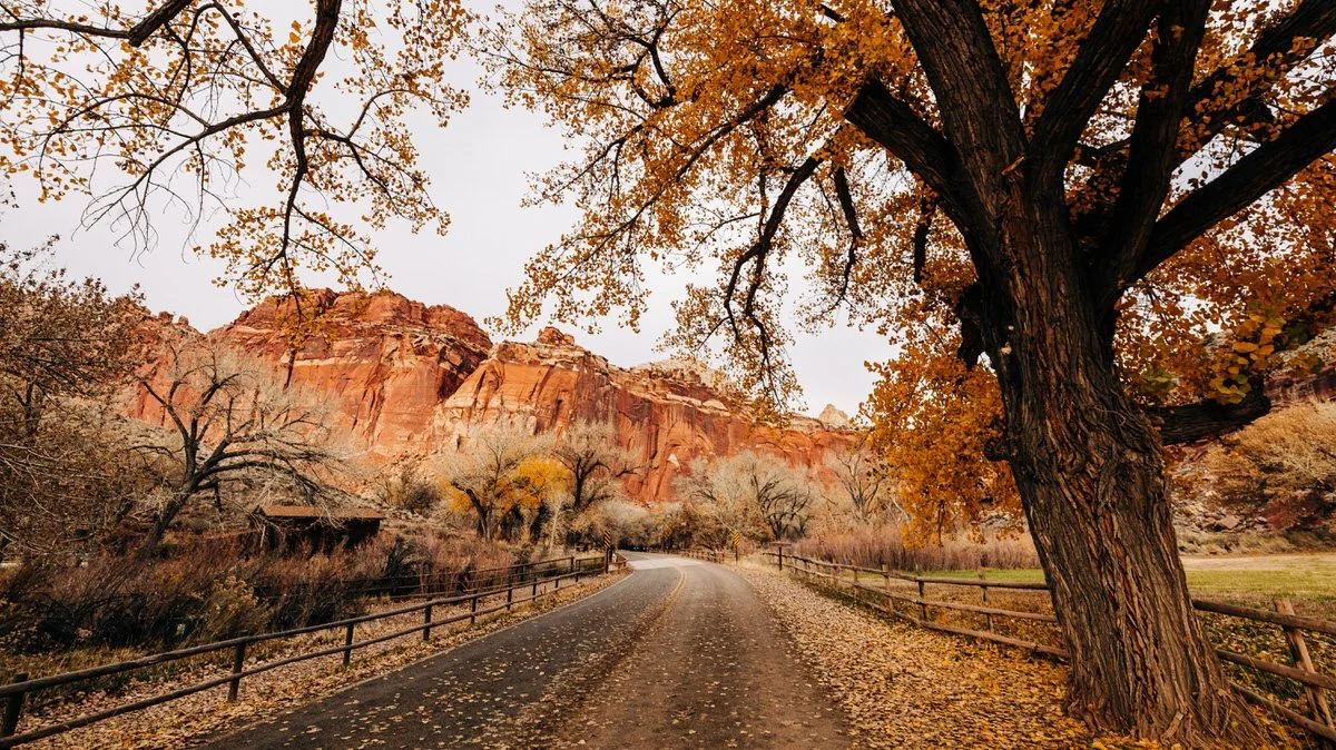 Capitol Reef
