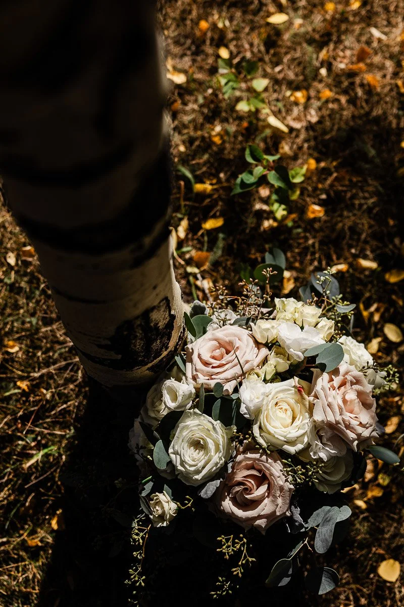 Bouquet of pale pink and white roses with eucalyptus leaves at the base of a tree on sunlit, leaf-strewn ground, evokes serene, natural beauty.