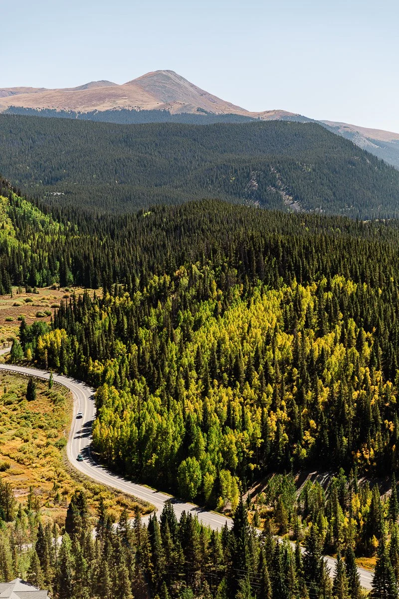 A winding road cuts through a dense forest of green and yellow trees, set against a backdrop of distant mountains under a clear blue sky.