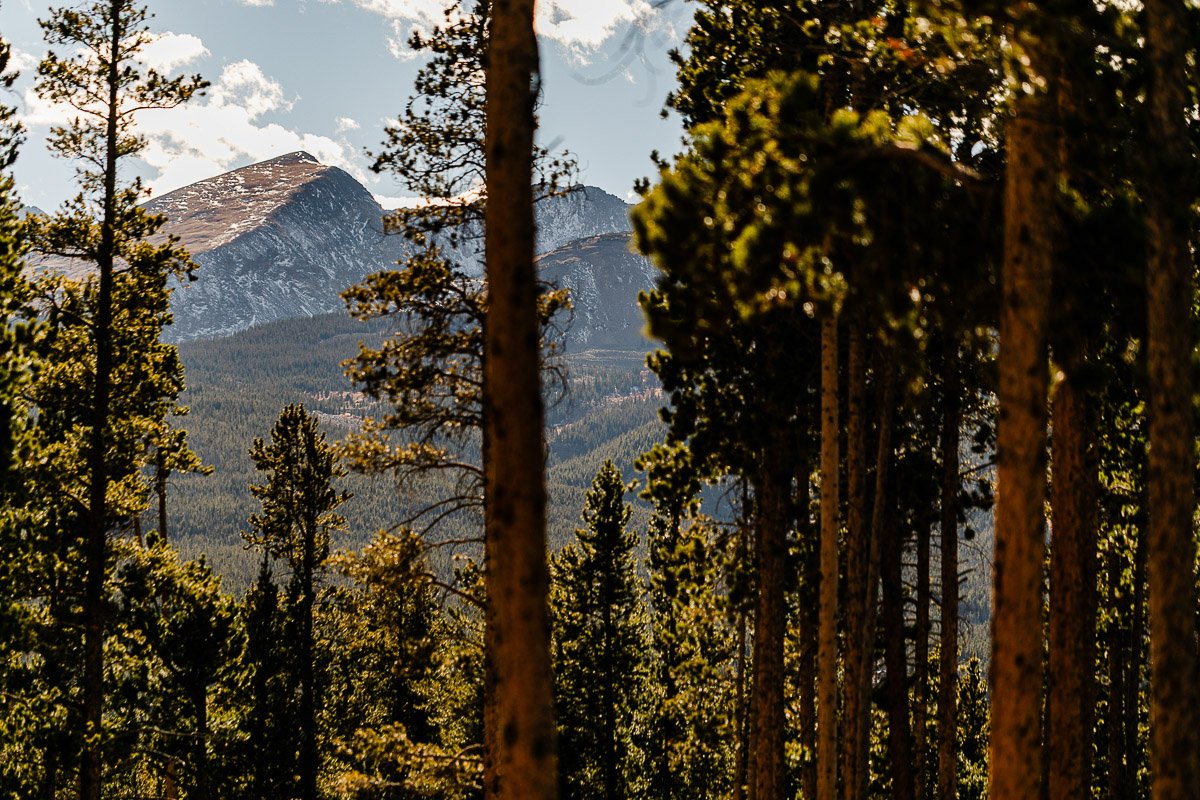 Tall pine trees in a dense forest frame a serene view of rugged mountain peaks. The scene is bathed in warm, golden sunlight under a clear sky.