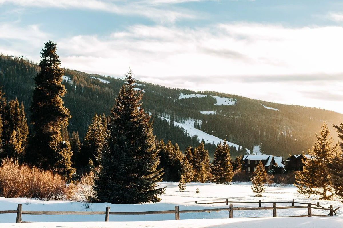 Snow-covered landscape with a wooden fence in the foreground, pine trees, and distant cabins. Sunlight casts a warm glow, creating a serene winter scene.