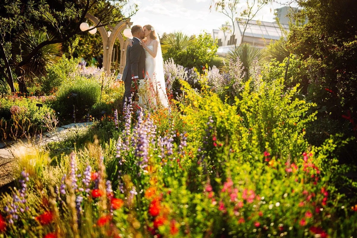 A couple in wedding attire embraces in a sunlit garden. Wildflowers surround them, creating a colorful, romantic, and serene atmosphere during a York Street Botanic Gardens wedding in Denver, Colorado