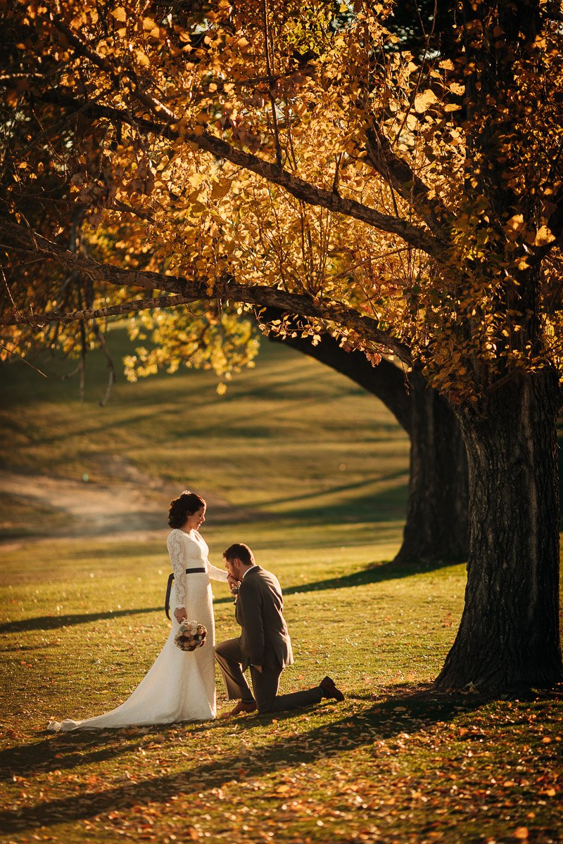 A man kneels and proposes to a woman in a white dress holding flowers under a large tree with golden autumn leaves. The scene is romantic and serene.